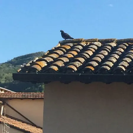 Le Canterine * Ascoli Piceno